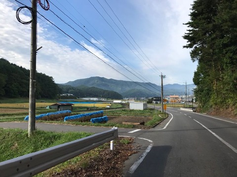 岡谷からは県道254号で西へ。天気は申し分ない秋晴れ