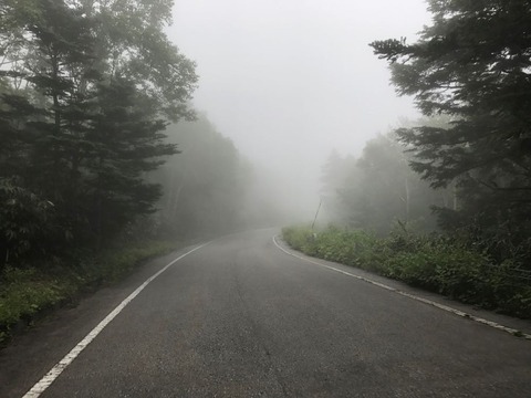 標高を上げるごとに濃くなる霧