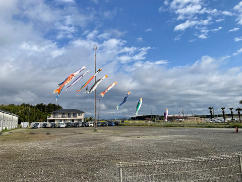 IMG_9015