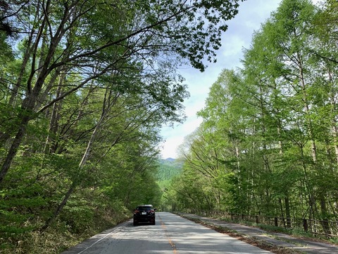 碓氷峠→浅間サンライン→ビーナスライン→八ヶ岳高原ライン