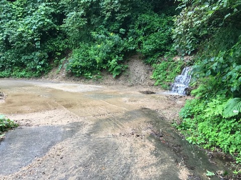 楢峠は富山側も岐阜側もクソみたいな道でした