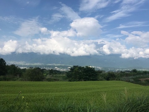 保坂路から南アルプスを臨む