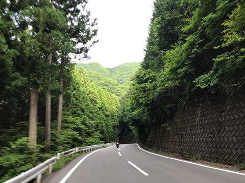 道志渓谷こと県道24号を通り抜ける。楽しい峠道