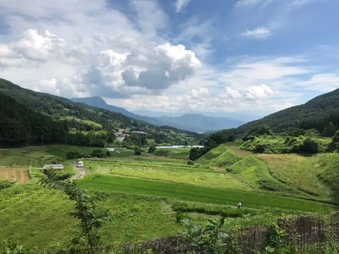 県道181号、クソみたいな道だけど最後の見晴らしは最高