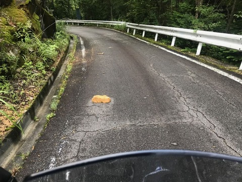 落石注意ってのはこういうのを踏まないようにってこと