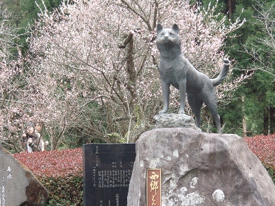 西郷さんの あの犬 だけの銅像がある Nicheee ニッチー テレビリサーチ会社がお届けする情報サイト