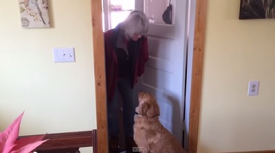 �������两