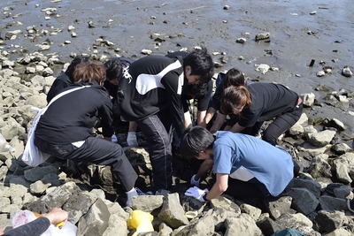 ���ߣ���