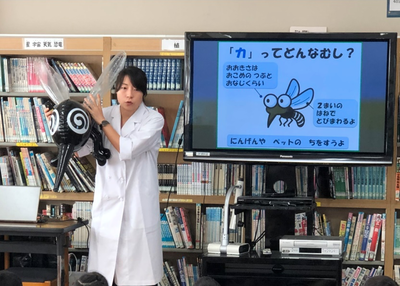 �������ȥ��᡼���̿�