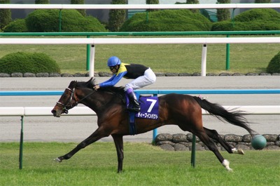 Deep_Impact(horse)20060430R1