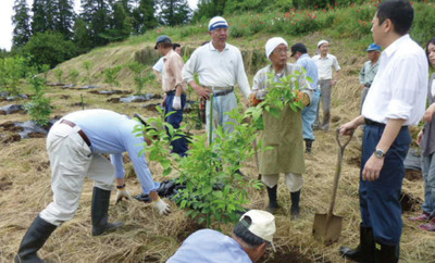 ������Farm������˼½�