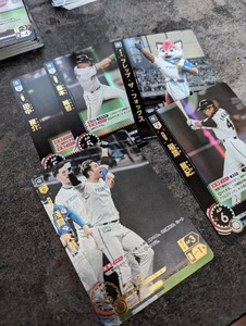 PXL_20250616_071459456