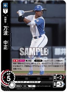 ����ץ���9