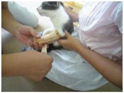 義足の猫・育生なるみ