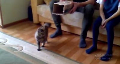 ������ǭ