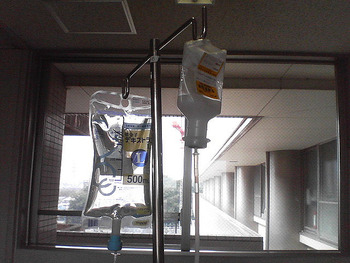 283197791_9f83b7569b_z