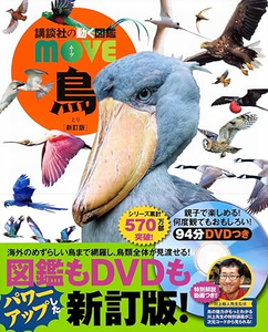 鳥