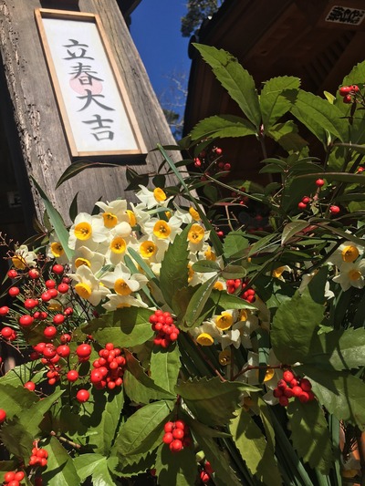 flowers-3361802_1920