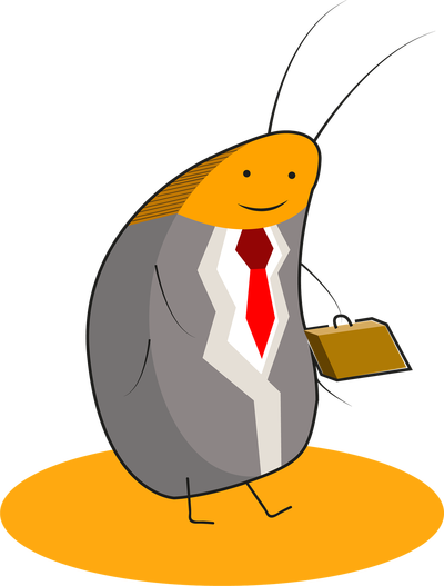 cockroach-3248299_1920