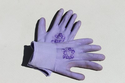 gardening-gloves-363494_1920