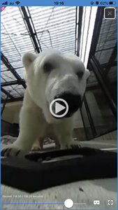 とべ動物園i動物絵スクリーンショット2