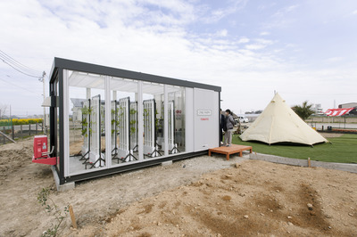 �ץ쥹��꡼�����ѭ�