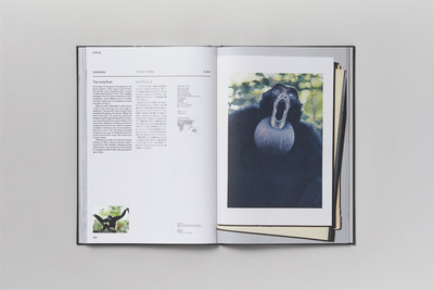 フクロテナガザル