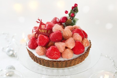 【ル・ビエ】タルトオフレーズスペシャル