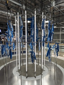 PXL_20231112_051219442.MP