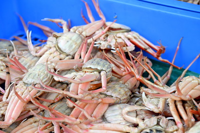 DSC_4398