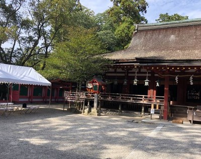 ����ץ���