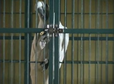 æ�Х�����