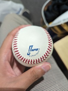 PXL_20230910_112201789