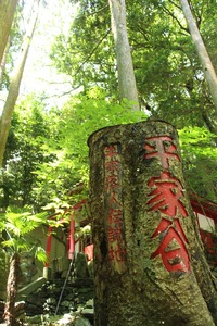 平家谷3