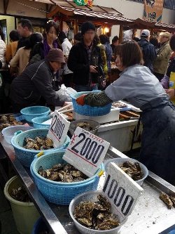 20100316_04