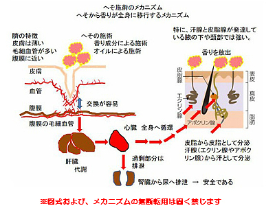 その ごま 臭い へ