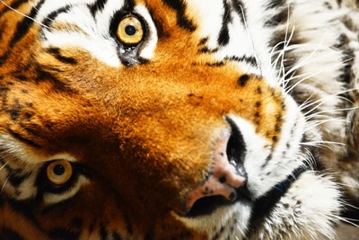 def06a8bfc83b100fb416dcfaca1573b_s