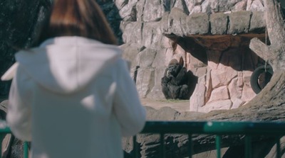 ����ץ���