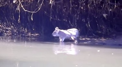 �ˤ�������