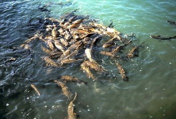 picture03