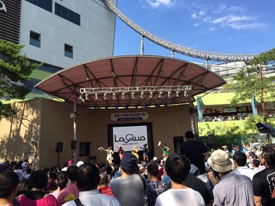 ������壶