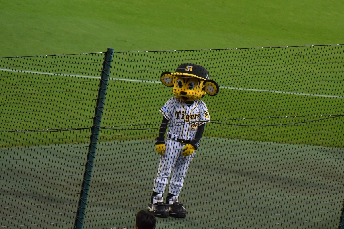 プロ野球 観客5000人 現地観戦 阪神甲子園球場 編 Nicheee ニッチー テレビリサーチ会社がお届けする情報サイト プロ野球 観客5000人 現地観戦 阪神甲子園球場 編 Nicheee ニッチー テレビリサーチ会社がお届けする情報サイト