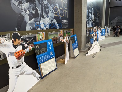 PXL_20230709_084740787