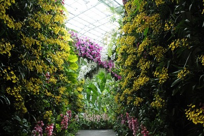 ���ʪ����Ÿ�ʥ��᡼����