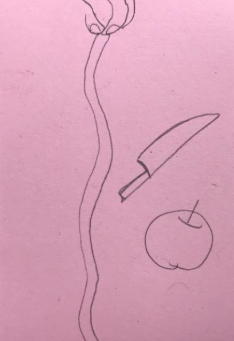 1917りんご
