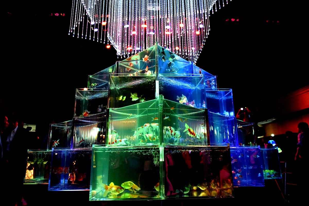 暑い夏は アートアクアリウム展 へ 金魚が泳ぐ幻想的な世界 Nicheee ニッチー テレビリサーチ会社がお届けする情報サイト 暑い夏は アートアクアリウム展 へ 金魚が泳ぐ幻想的な世界 Nicheee ニッチー テレビリサーチ会社がお届けする情報サイト