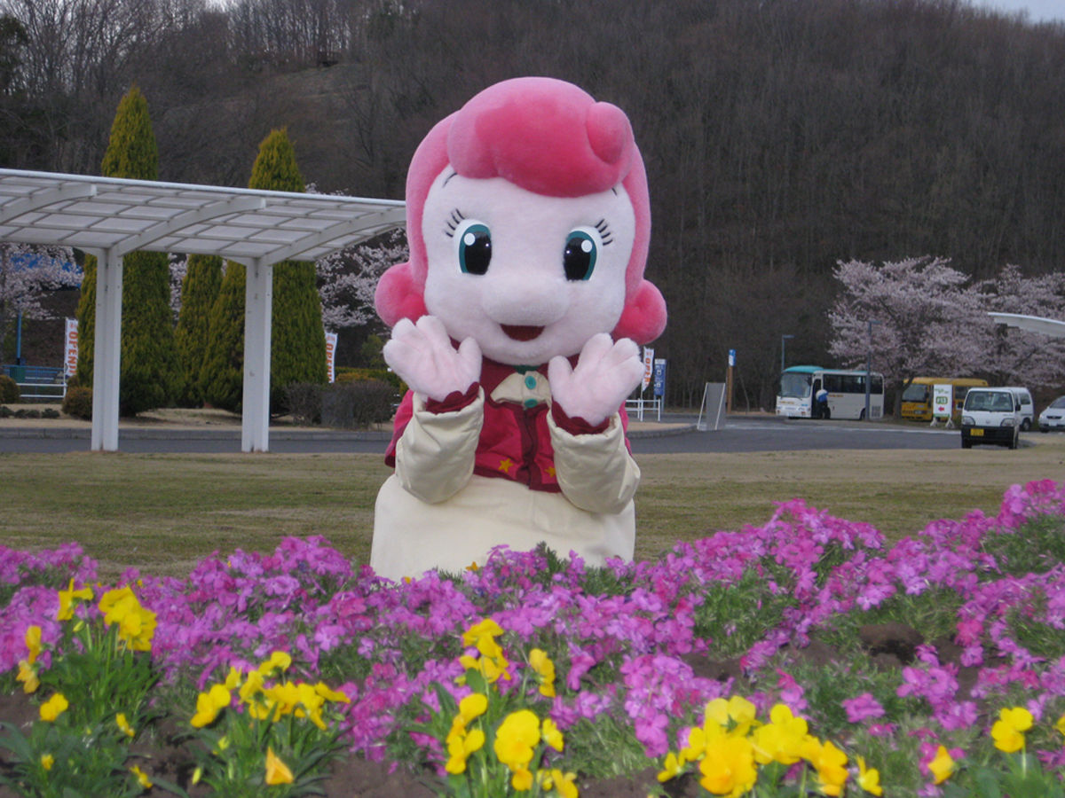 Gwイベント間に合った ツインリンクもてぎ 営業中 Nicheee ニッチー テレビリサーチ会社がお届けする情報サイト Gwイベント間に合った ツインリンクもてぎ 営業中 Nicheee ニッチー テレビリサーチ会社がお届けする情報サイト