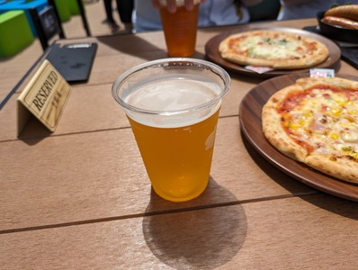 PXL_20230709_033708727