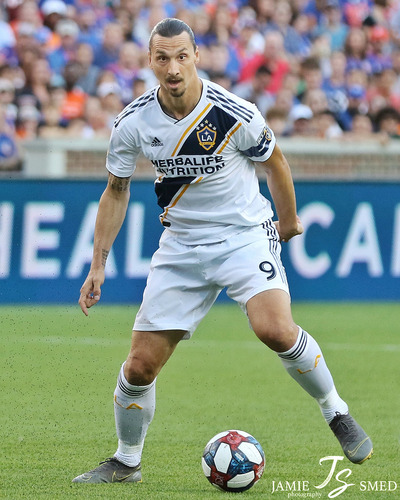 48116890751_4d52458dd9_b