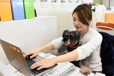 ���ˡ������ɥɥå���